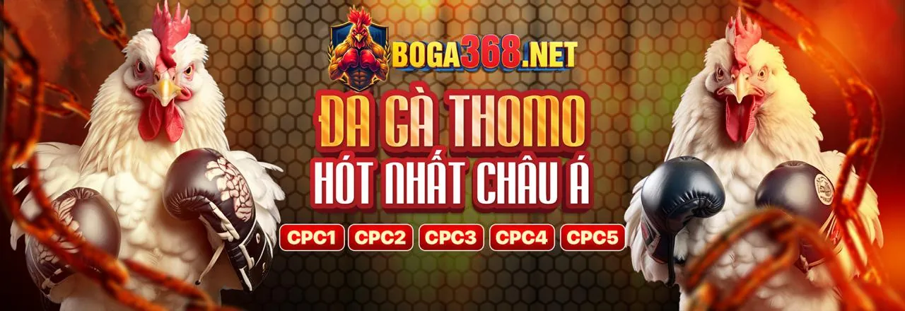Bắn Cá 997bet 2026 - Săn cá đổi thưởng lớn