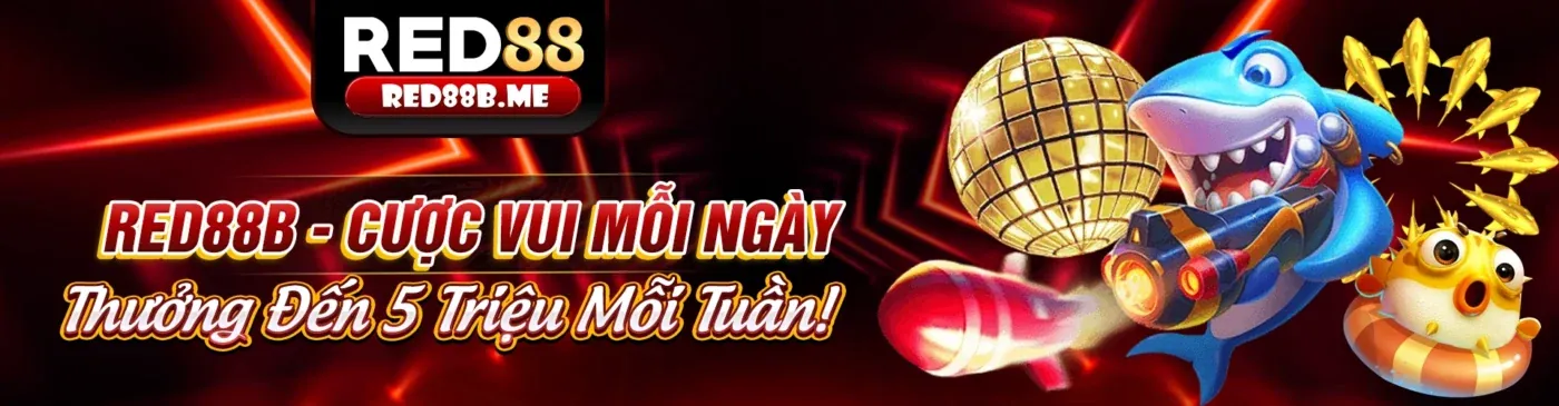 Hình ảnh đại diện Điều khoản dịch vụ của tải 997bet